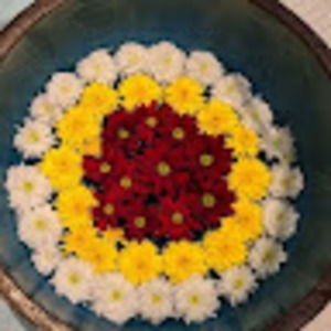 Meet your Posher, Pamela